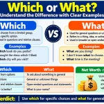 Which vs What